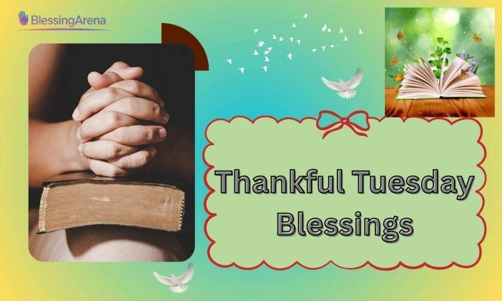 Thankful Tuesday Blessings
